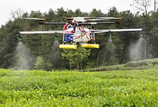 凤冈无人机穿梭茶园 为茶叶喷洒“生物农药”打造绿色农业新篇章
