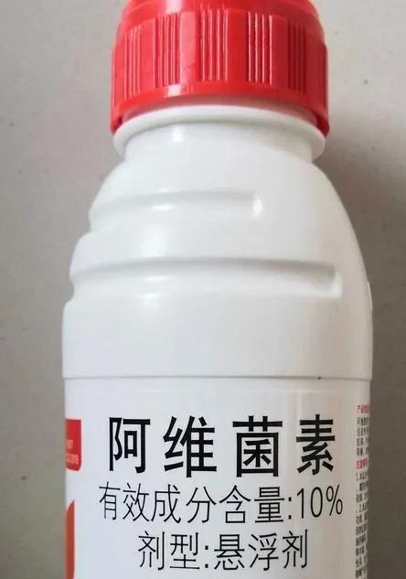洋辣子防治最佳农药指南 科学选择与施药技巧